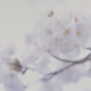 男女交接性生活视频大全
